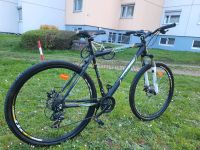 Herrenfahrrad 28 Zoll Baden-Württemberg - Ludwigsburg Vorschau