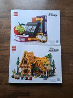 Lego Disney Bauanleitung Sachsen-Anhalt - Halberstadt Vorschau