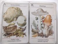 Pilze kennen – Pilze sammeln, Verlag für Lehrmittel Pößneck, DDR Baden-Württemberg - Tübingen Vorschau
