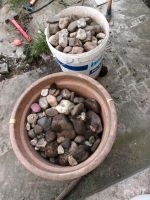 Steine zu verschenken Nordrhein-Westfalen - Korschenbroich Vorschau