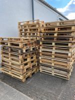 Holzpaletten Einwegpaletten 1,2x0,8m leichtbau gebraucht Paletten Pankow - Prenzlauer Berg Vorschau