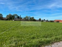 2 Spekulationsgrundstücke am Ortsrand in Bichl  - rascher Verkauf gewünscht Bayern - Bichl Vorschau