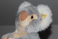 Steiff Koala - KFS - 40 cm Niedersachsen - Westoverledingen Vorschau