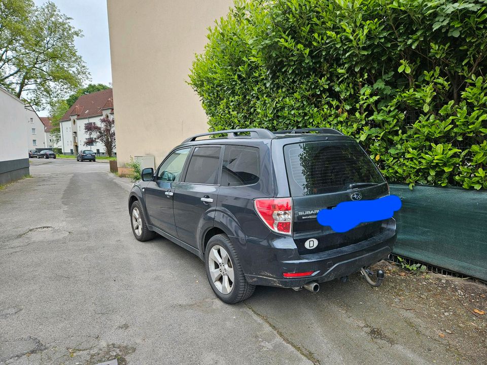 Subaru Forester in Gladbeck