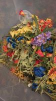 Blumen, Kunstblumen für Oster- oder Frühlingsgefühle, Deko Kiste Nordrhein-Westfalen - Minden Vorschau