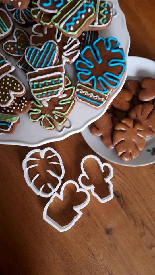 3er SET Zimmerpflanzen backen Ausstecher Keksstempel Monstera in Burgrieden