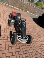 BERG Gokart XL + Anhänger TOP ZUSTAND Nordrhein-Westfalen - Nettetal Vorschau