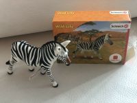 Schleich Zebra Rheinland-Pfalz - Kettig Vorschau