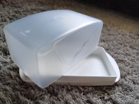 Tupperware Butterdose Mecklenburg-Vorpommern - Neubrandenburg Vorschau