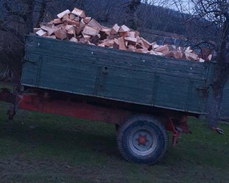 Brennholz Kaminholz 7srm Fichte Feuerschale Lagerfeuer 25cm in Einbeck