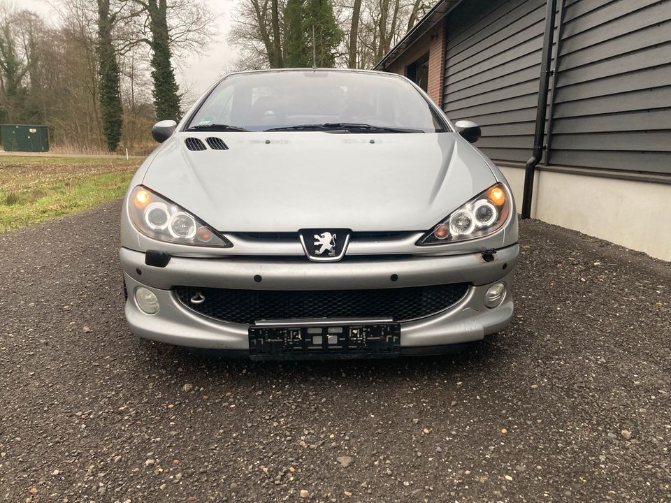 Schlachtfest Peugeot 206 cc in Lage (Dinkel)