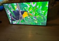 Samsung Fernseher 55 Zoll Smart tv 4K Nordrhein-Westfalen - Gelsenkirchen Vorschau