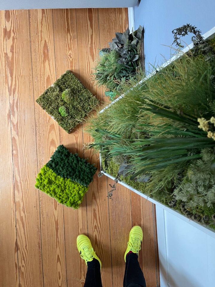 Stylegreen Pflanzenbild Moosbild Echtmoos Dekoration 100x40 in Havekost (b Schwarzenbek)