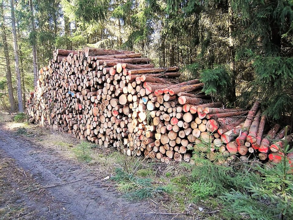 ☘️ Brennholz Nadel/Laubholz Stammholz Schleiz / Hof in Schleiz