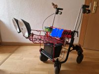 Rollator mit Beleuchtung Sachsen - Dippoldiswalde Vorschau