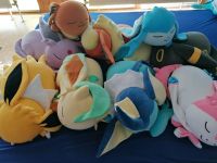 Pokemon Center Eeveelutions Plüschtiere Bayern - Regen Vorschau