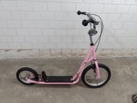 Scooter Tretroller 16" Cityroller Dogscooter City Roller Kinder Berlin - Mahlsdorf Vorschau