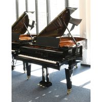 Bösendorfer Flügel gebraucht, 212 cm Länge, alles neu, GA + Lie Thüringen - Jena Vorschau