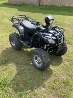 Quad 250ccm Bad Doberan - Landkreis - Zarnewanz Vorschau