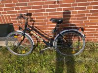 Fahrrad Damen Niedersachsen - Garbsen Vorschau