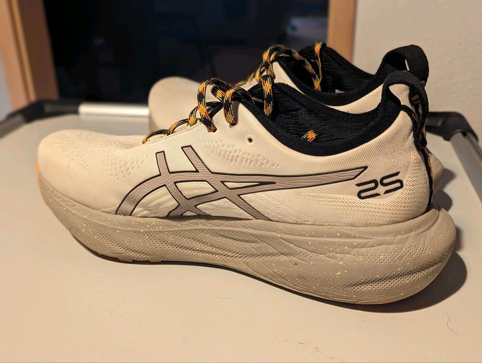 Asics Gel Nimbus 25 TR 46 in Dessau-Roßlau