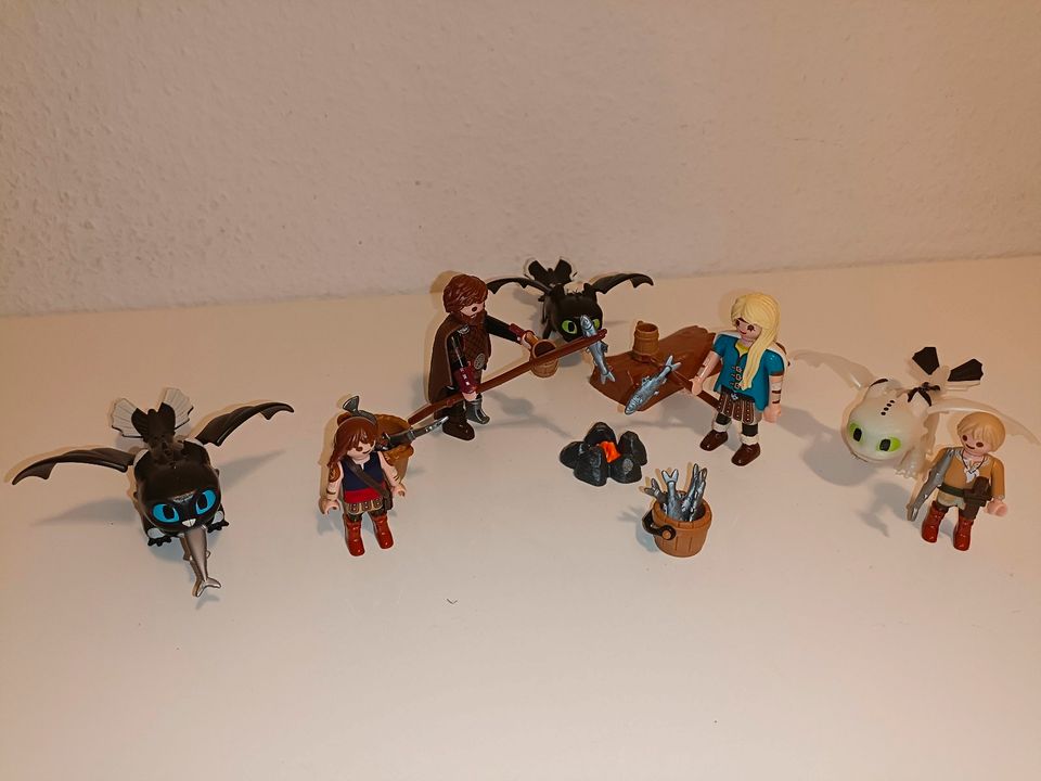 Playmobil Dragons (9 Sets) in Wriezen