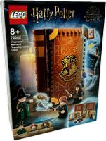 LEGO 76382 Harry Potter Verwandlungsunterricht Harburg - Hamburg Eißendorf Vorschau