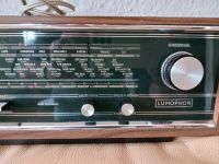 Radio Grundig bei lumofon Violetta 300 Niedersachsen - Salzgitter Vorschau