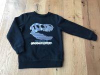 Pullover Dino Gr. 128 Sweatshirt schwarz Dinosaurier dopodopo Brandenburg - Neuruppin Vorschau