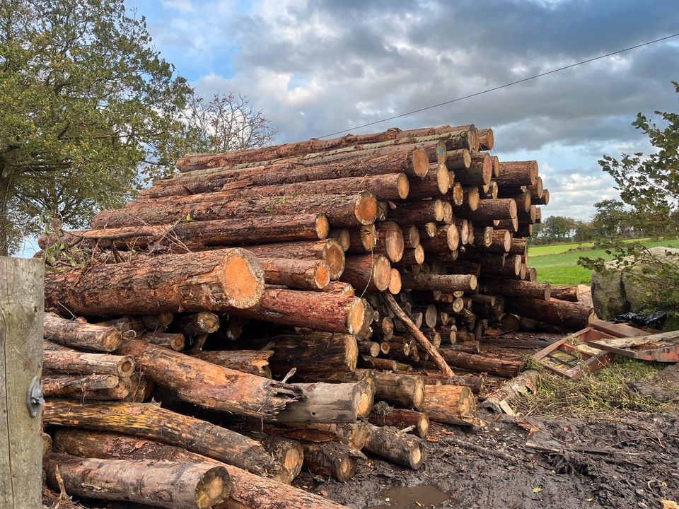 Brennholz, Kaminholz, Trocken Ofenfertig in Westerholt