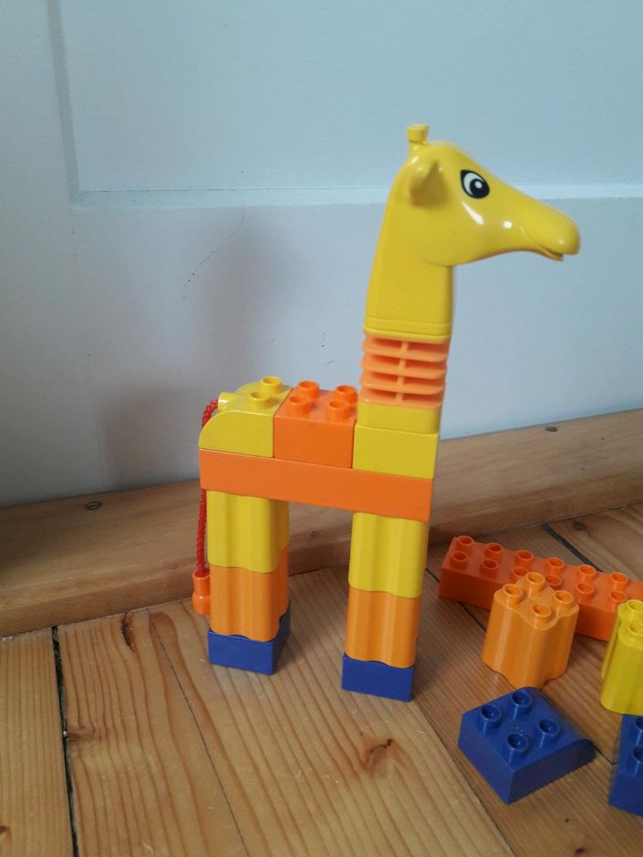 Lego Duplo Lustige Giraffe 3512 in Dresden