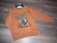 s.Oliver Sweatshirt Pullover Waschbär Gr.104/110 Bad Doberan - Landkreis - Thulendorf Vorschau