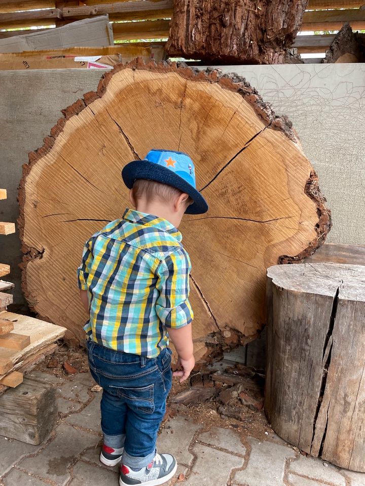 Mammut  XXL Baum Tisch Groß Küche Trocken in Pottenstein