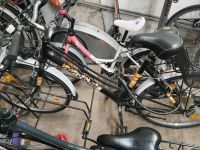 Fahrrad MC KENZIE 26 Zoll Dresden - Prohlis-Nord Vorschau