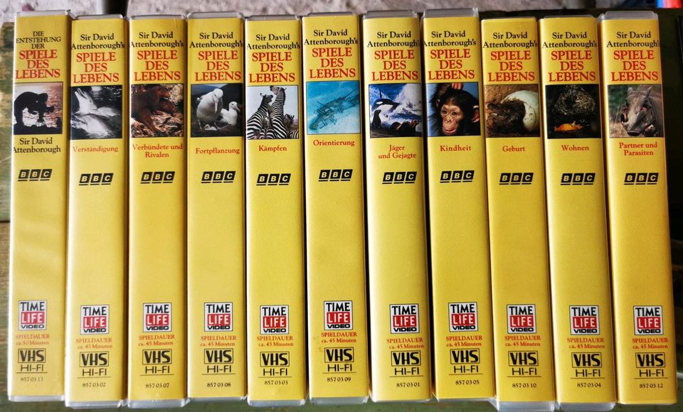 VHS Serie "Spiele des Lebens" in Strausberg