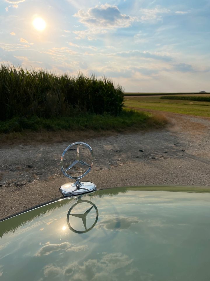 Hochzeitsauto Brautauto Mercedes Oldtimer in Nördlingen