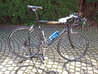 Leichtgewicht: Carbon Rennrad Koga Miyata,  RH 61 Nordrhein-Westfalen - Steinfurt Vorschau