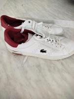 Lacoste Schuhe Stuttgart - Feuerbach Vorschau