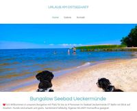 Ostsee mit Hund im Seebad Ueckermünde Mecklenburg-Vorpommern - Ueckermuende Vorschau