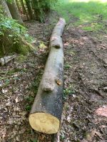 Buche für Brennholz circa 1,3 Raummeter Hessen - Dreieich Vorschau