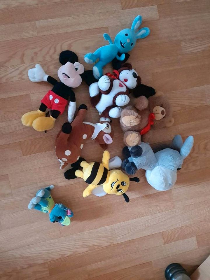 Kuscheltiere Paw Patrol Mickey Mouse Kikaninchen in Rostock