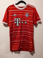 FC Bayern München Trikot Gravenberch Hessen - Melsungen Vorschau