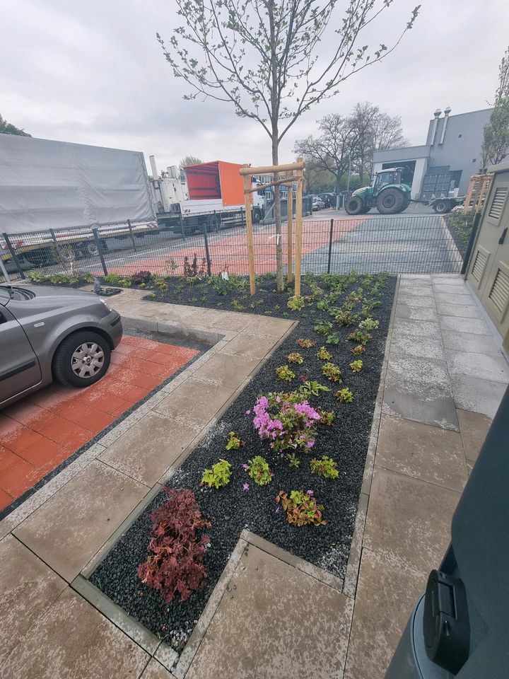 Pflasterarbeiten Beton Steine Maschine Verlegung Gartenwege in Tornesch