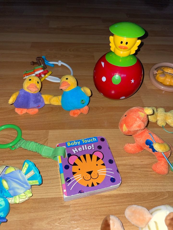 Baby Spielzeug Rassel, Quietsch, Greifling, Kugel, Stofftiere in Hamburg