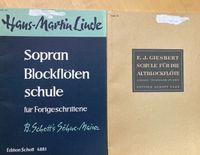 Noten: 2 Unterrichtswerke für Blockflöte Herzogtum Lauenburg - Wohltorf Vorschau