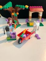 LEGO Friends Olivias Fohlen Dresden - Cotta Vorschau