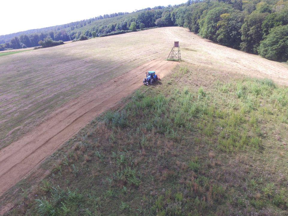 Rodung - Baufeldräumung - Landschaftpflege - Brachland nutzen in Warburg