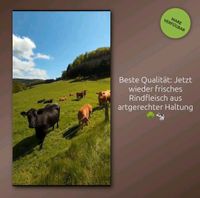 Frisches Rindfleisch aus artgerechter Weidehaltung Nordrhein-Westfalen - Schmallenberg Vorschau