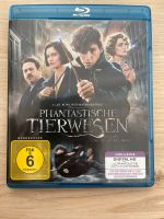 Phantastische Tierwesen und wo sie zu finden sind - Blu-ray Bochum - Bochum-Nord Vorschau