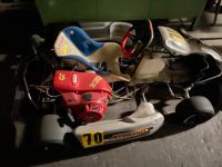 Ho Kart Aprilia Gx 390 Hessen - Ginsheim-Gustavsburg Vorschau